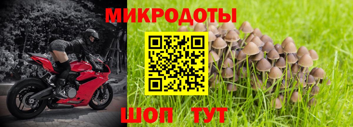 Галлюциногенные грибы Psilocybe  Вход с VPN  Кушва 